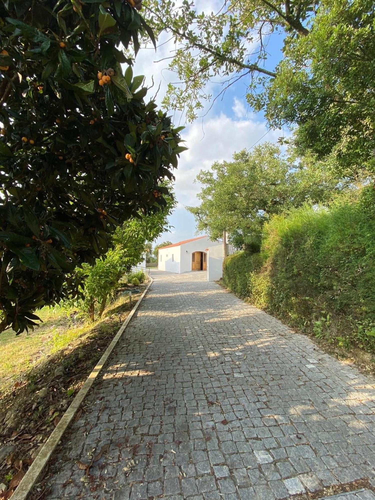 Quinta Boa Vida Villa Alcobaca Bagian luar foto