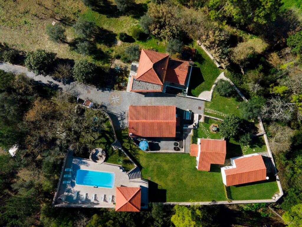 Quinta Boa Vida Villa Alcobaca Bagian luar foto
