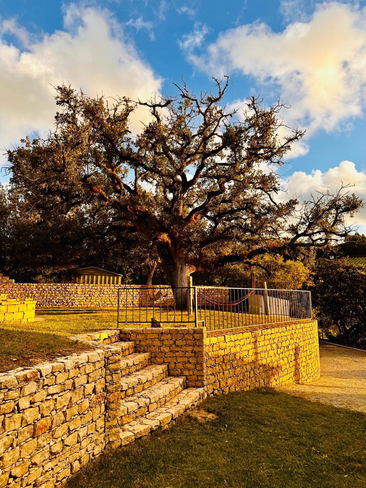 Quinta Boa Vida Villa Alcobaca Bagian luar foto